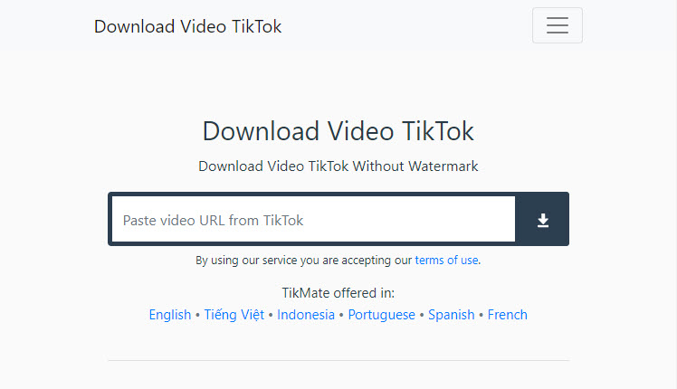 TikMate Interface